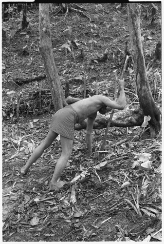 Man planting taro