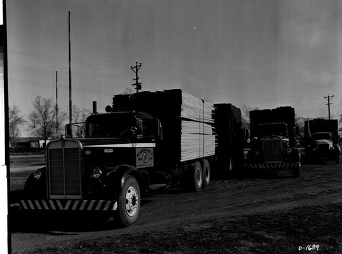 Loaded Lumber Trucks Paul Bunyan Lbr. Co