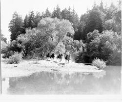 Equestrians at the Russian River, Guerneville, California, 1970