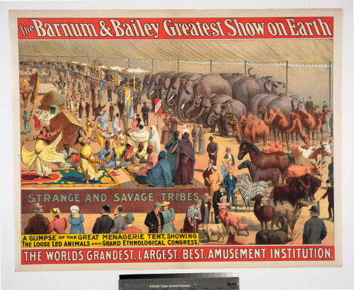Barnum & Bailey greatest show on Earth : strange and savage tribes : a glimpse of the great menagerie tent, showing the loose led animals and grand ethnological congress