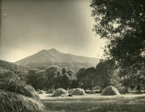 Mt. Tamalpais from Kentfield, Marin County, California, circa 1929 [photograph]