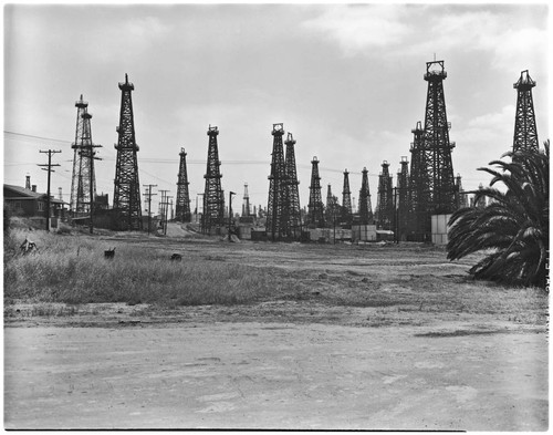 Oil wells, Weston and Cameron Pl
