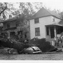 View of the damage from the "Windstorm of 1950". In this view a tree was uprooted at 815 14th Street. Bystanders survey the damage