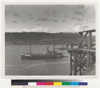 Mendocino Bay, Mendocino, California. Steam schooner "Pheonix" being loaded. Printed backwards