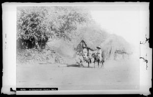 Two men riding burros on a country road in Mexico, ca.1905