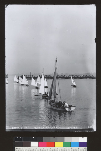 Fleet of sailing canoes, Oakland Creek. [photographic print]