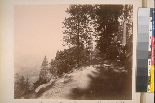 Road between Wawoona & Yo Semite [i.e. Yosemite] Valley. Mariposa Co.--Cal. [No.] 34