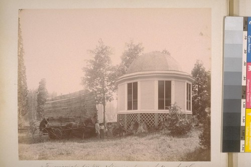 The original big tree, showing dancing hall on the Stump. Calaveras big trees grove--12 miles from Sheep Ranch. [No.] 28