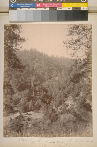 Crossing San Antonio Creek from H. Ide's ditch (Calaveras Co.). [No.] 19