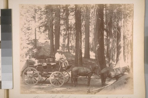 Stage of the Yo Semite [i.e. Yosemite] and Turnpike Co. at the Summit (Mariposa Co. Cal.). [No.] 35