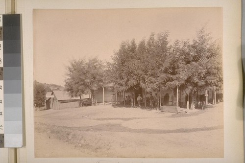 Friedberger's Store. Sheep Ranch (Calaveras Co.). [No.] 13