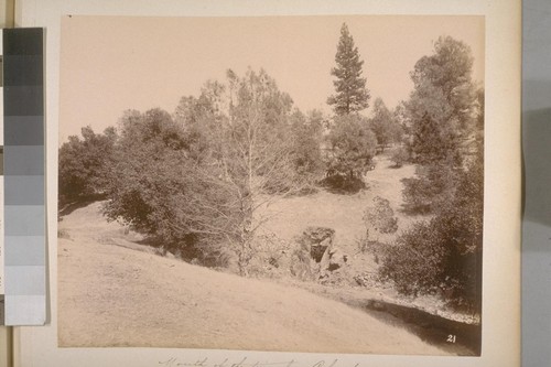 Mouth of the terminal--Colombus. J. Fricot's mine--near Sheep Ranch (Calaveras Co.). [No.] 21