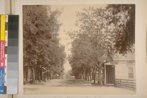 Main Street--Murphy's. Calaveras Co. (Cal.). [No.] 23