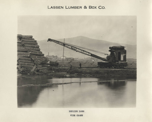 Logging Crane