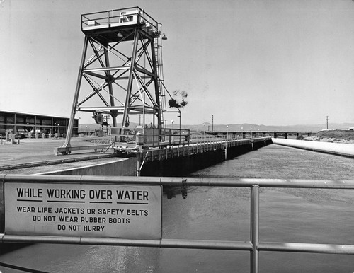 40 This is the four ton gantry crane located above the "primary louver" which separates fish from the canal. Note three pick-up points on intake baffles along the primary louver and one at the far end. These take fish and a little bit of water through 36 inch pipelines to secondary louver in background. The secondary louver further condenses fish into a smaller amount of water proportionate to cubic foot of water per fish. The efficiency of this louver system is quite high, however some fish do get through by evading these pick-up points or by coming upstream from the other end of the canal. The four ton gantry crane is used to lift the louver sections for cleaning depending on the amount of algae collected