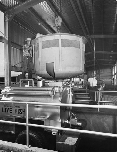 49 Here the fish are being loaded into the fish truck. The truck is equipped with aeration and cooling equipment to maintain necessary oxygen and temperature of the water. This truck will hold up to 80,000 small fish. Normal loads range from 25,000 to 40,000 fish