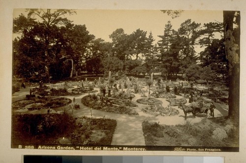 Arizona Garden, Hotel Del Monte, Monterey