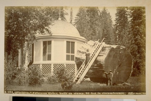 Pavilion, Calaveras Grove, built on stump, 92 feet in circumference