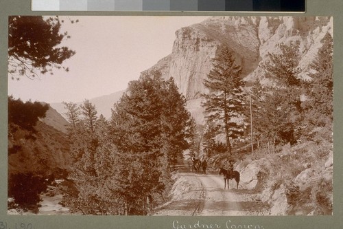 Gardner Canon. [Yellowstone National Park, Wyoming.]