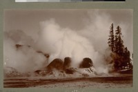 Grotto Geyser. [Yellowstone National Park, Wyoming.]