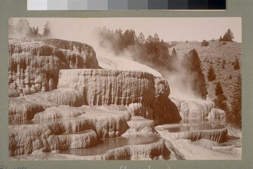 Cleopatra Terrace. [Yellowstone National Park, Wyoming.]