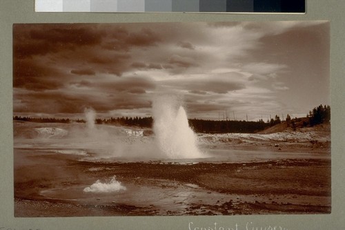 Constant Geyser. [Yellowstone National Park, Wyoming.]