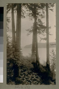 Point Defiance Park [Washington]. 592