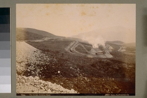 The Loops, looking east. 7824. [Mount] Tamalpais [Marin County]. [Photograph by Isaiah West Taber.]