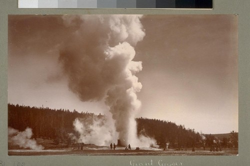 Giant Geyser. [Yellowstone National Park, Wyoming.]