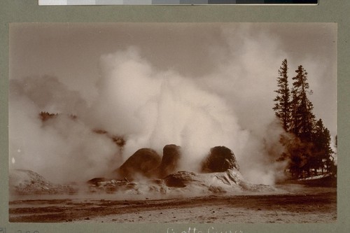 Grotto Geyser. [Yellowstone National Park, Wyoming.]