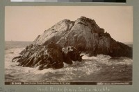 Seal Rocks from Sutro Heights, S.F. [San Francisco], Cal. B 3663