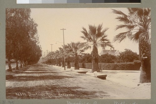 Brookside Ave. Redlands [San Bernardino County]. No. 584. [Photograph by Graham.]