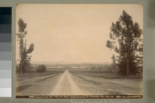 General View from Palo Alto Road. Leland Stanford Jr. University, Palo Alto, Cal. 5823. [Photograph by Isaiah West Taber.]