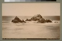 Seal Rocks near the Cliff House, S.F. [San Francisco], Cal. B 44. [Photograph by Isaiah West Taber.]