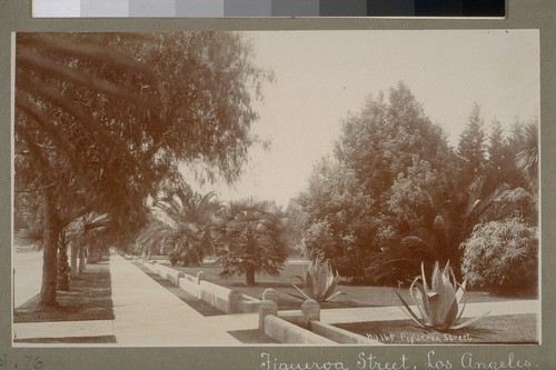 Figueroa Street, Los Angeles. No. 167