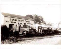 Sunny Slope Dairy, Petaluma, California, 1938