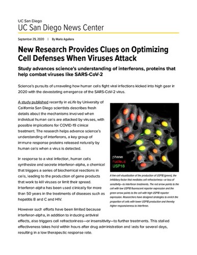 New Research Provides Clues on Optimizing Cell Defenses When Viruses Attack