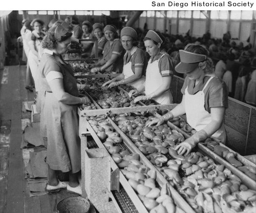 Women sorting peppers for packing