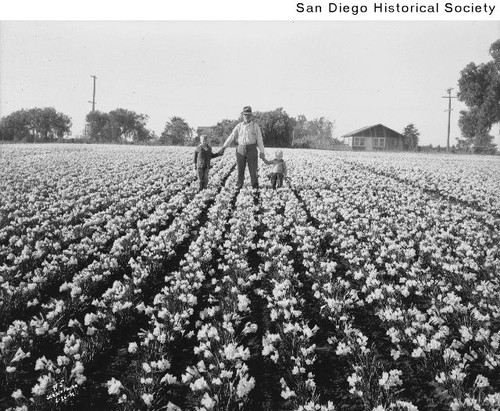 A man holding hands with two children in a field of freesias at a flower farm