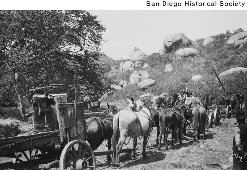 Freight wagon teams in Steele Canyon