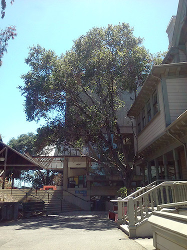 Macky Hall and Founders Hall, summer 2021