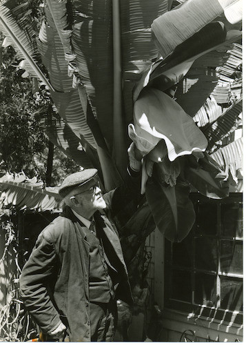 Frederick Meyer examining plan