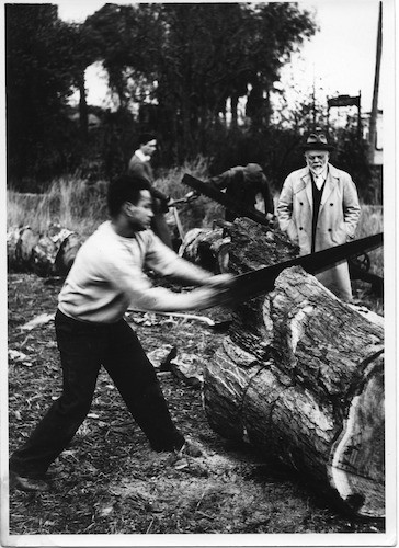 Tree cutting observed by Frederick Meyer