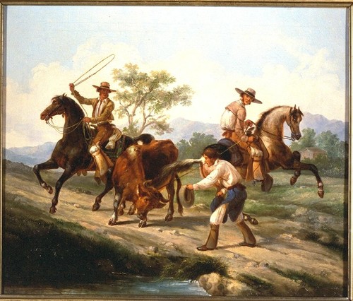 Native Californians lassoing a steer