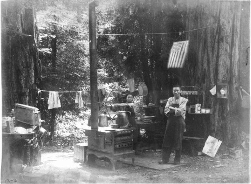 Chinese Americans in redwoods