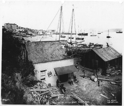 View from Steamboat point, 1870