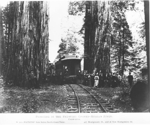 Picnicing [sic] in the redwood groves--Russian River [ca. 1875-1880]