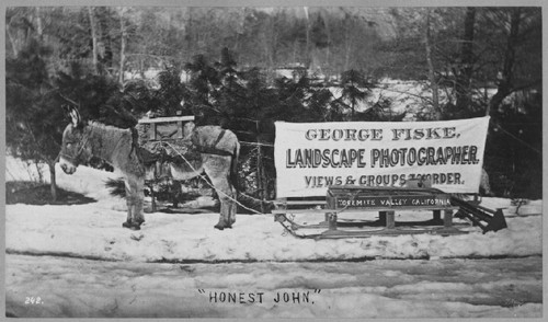 Honest John [mule and wagon of photographer George Fiske in Yosemite, 1875]