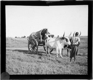 On his way to Antioka, a trade clerk in a wagon
