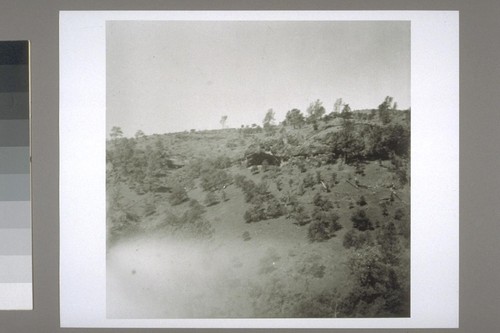 Section of panoramic view taken looking NE and S from near Moak trail in vicinity of head of Little Dry Creek, upstream from Dillon's Cove